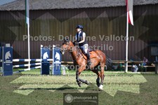 ref. photo 3680305