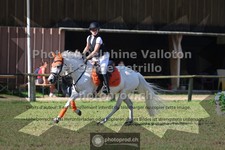 ref. photo 3680341