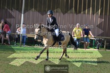 ref. photo 3680398
