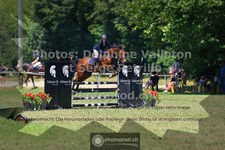 ref. photo 3680431