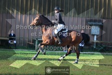 ref. photo 3680483