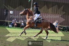 ref. photo 3680505