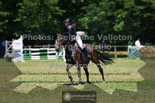 ref. photo 3680529