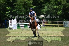 ref. photo 3680605