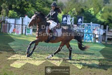 ref. photo 3680621
