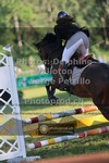 ref. photo 3680622
