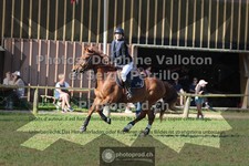 ref. photo 3680631