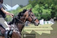 ref. photo 3680730