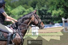 ref. photo 3680731