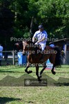 ref. photo 3680751