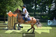 ref. photo 3680766