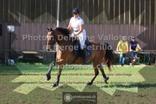 ref. photo 3680772