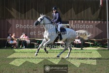 ref. photo 3680803