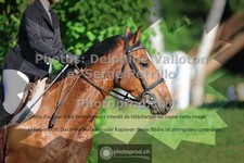 ref. photo 3680857
