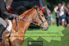 ref. photo 3680858