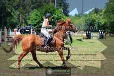 ref. photo 3680879