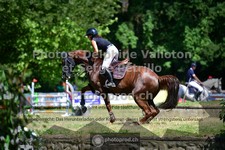 ref. photo 3680906