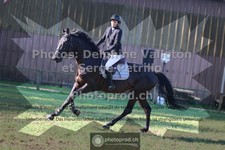 ref. photo 3680957