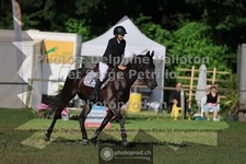 ref. photo 3680963