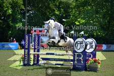 ref. photo 3681000