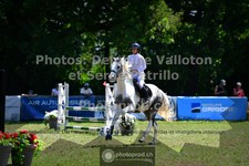 ref. photo 3681002