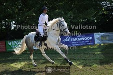 ref. photo 3681015