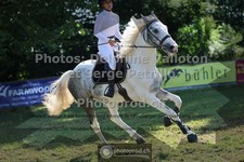 ref. photo 3681016