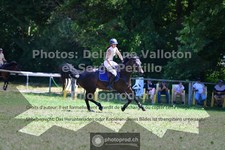 ref. photo 3681039