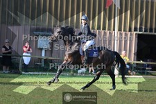 ref. photo 3681045