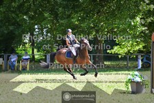 ref. photo 3681070