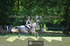 ref. photo 3681111