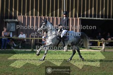 ref. photo 3681120