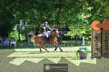 ref. photo 3681161