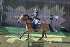 ref. photo 3681169