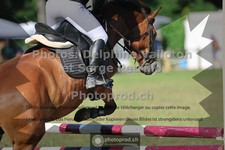 ref. photo 3681172
