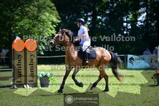 ref. photo 3681182