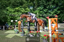 ref. photo 3681216