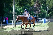 ref. photo 3681223
