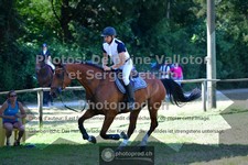 ref. photo 3681224