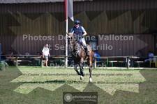 ref. photo 3681237