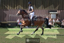 ref. photo 3681261