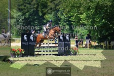 ref. photo 3681276
