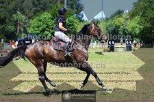 ref. photo 3681295