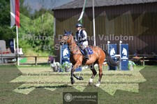 ref. photo 3681302