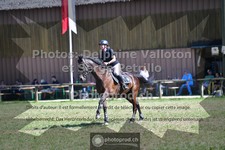 ref. photo 3681348