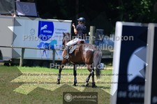 ref. photo 3681354