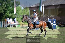 ref. photo 3681360