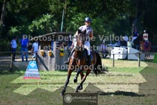 ref. photo 3681363