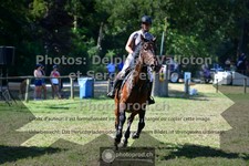ref. photo 3681364