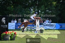 ref. photo 3681396